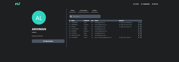 SAE 2.03 IMPLEMENTING AN IT SOLUTION FOR THE COMPANY